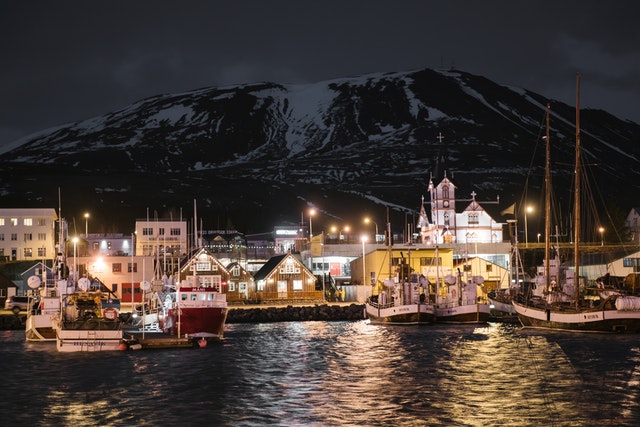 Husavik est la capitale européenne des baleines