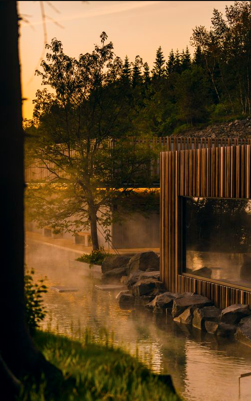 spa géothermal de forest lagoon en Islande