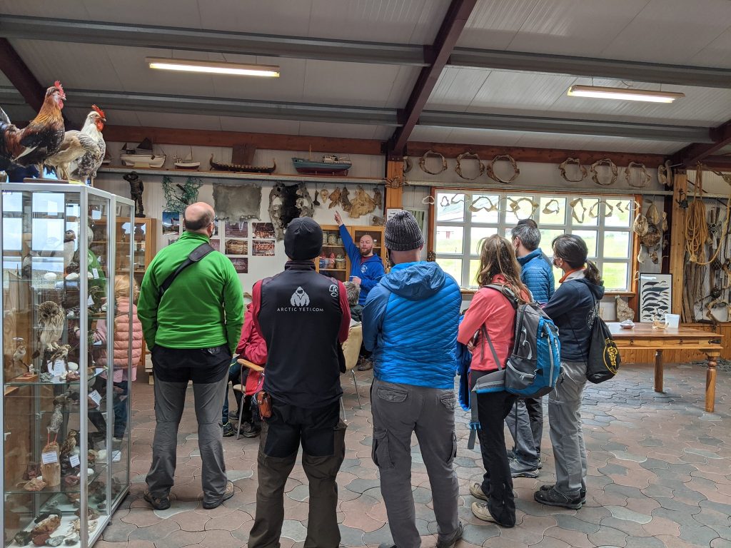 le musée des requins en Islande