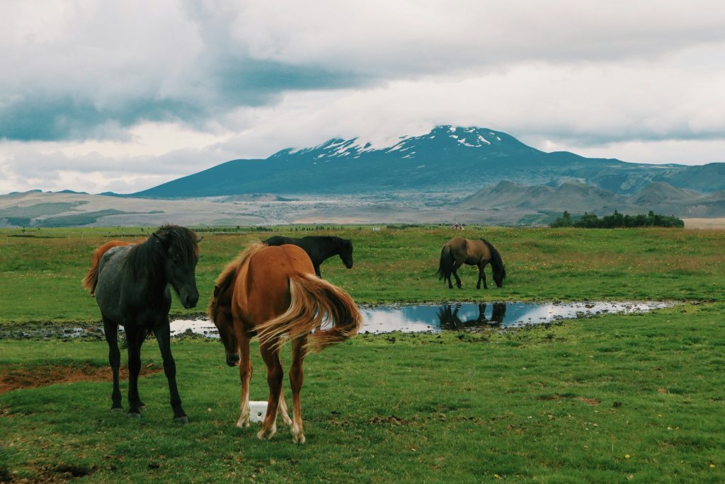 le volcan Hekla en Islande