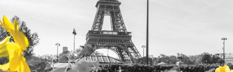 Header background image