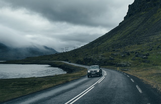 hire a car in Iceland and see the puffins