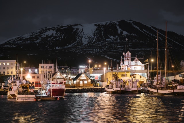 Husavik is the capital of whales in europe