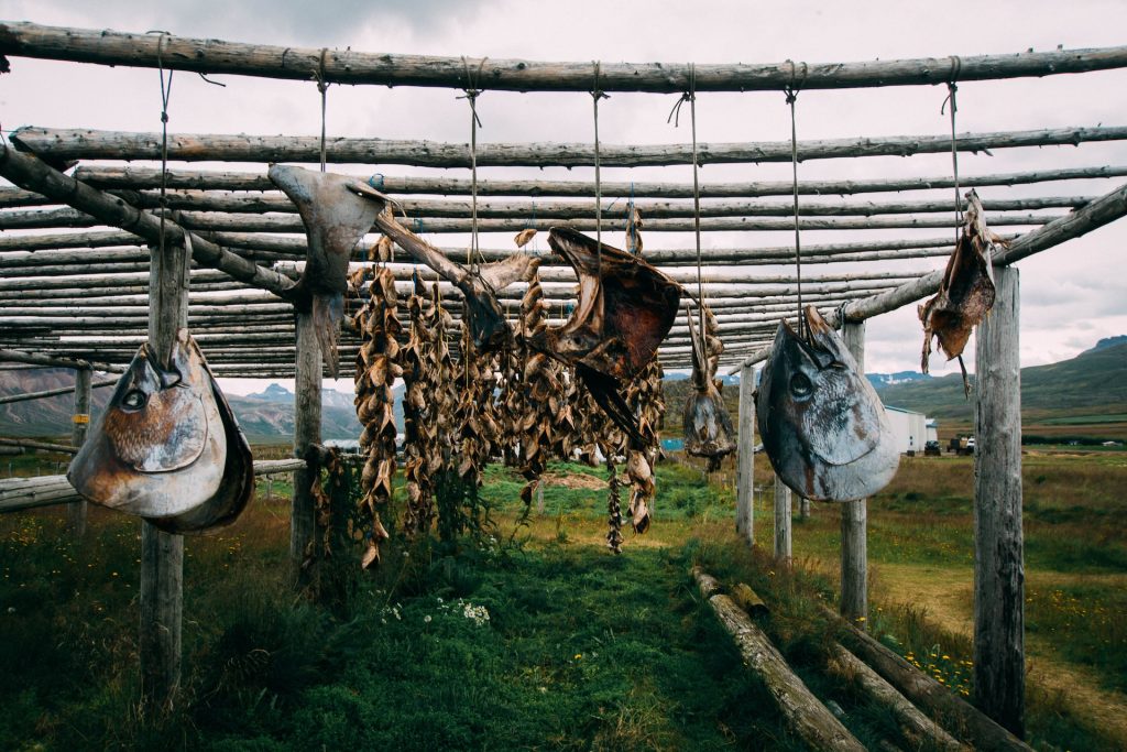 icelnd dried fish product can be a good option for gifts from Iceland