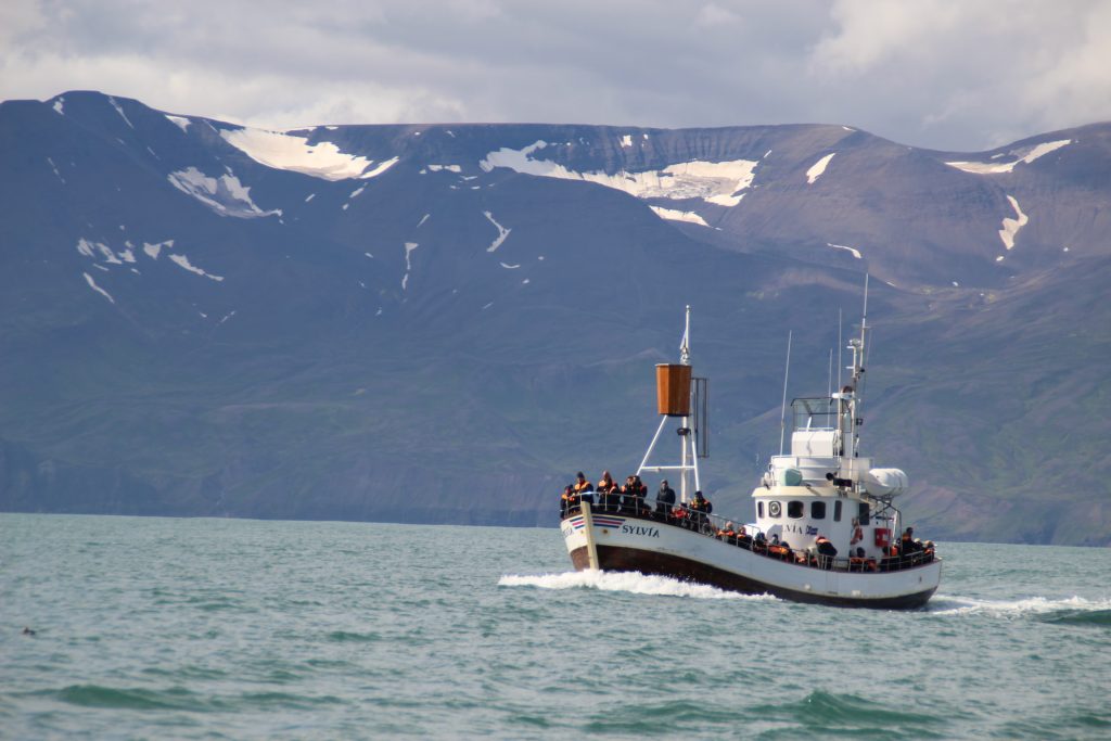 a whale watching boat in Iceland