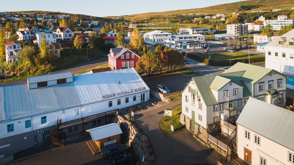 the Husavik whale musuem in Iceland 