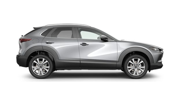 Mazda CX-30 or similar | Automatic | 2WD