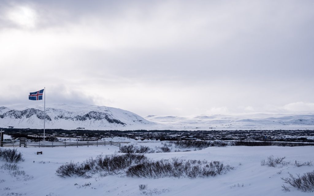 a icelandic flag flying in the winter nature