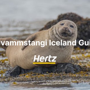 a Guide to Havmmstangi Iceland in the north Iceland