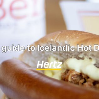 the Icelandic hot dog detailed guide