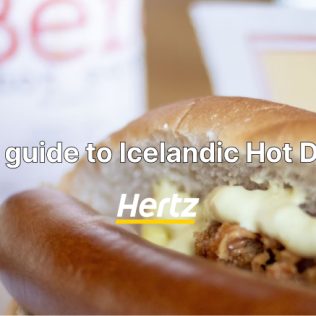the Icelandic hot dog detailed guide