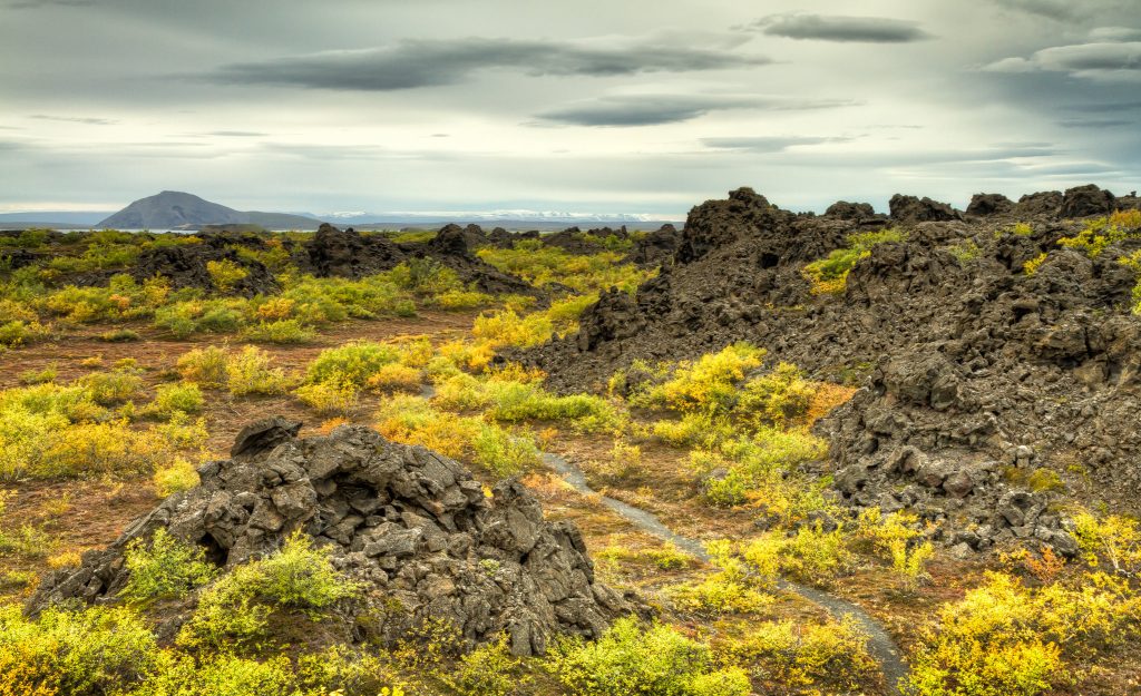 Dimmuborgir, a series of lava fields in the Mývatn of Iceland