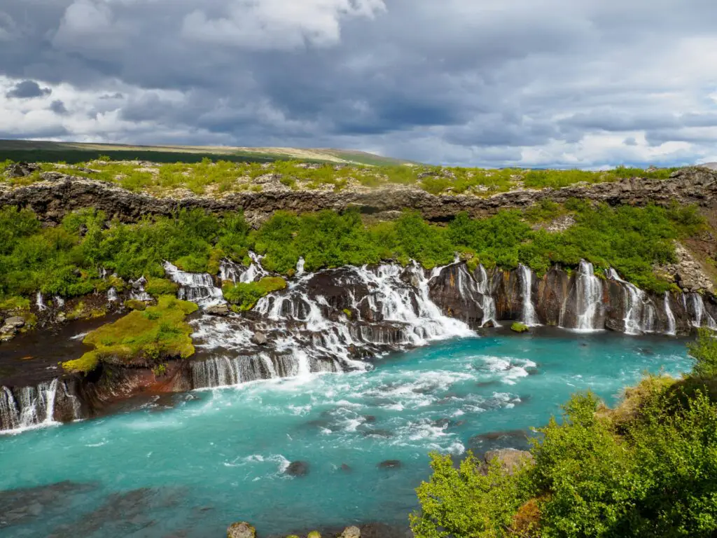 iceland have trees