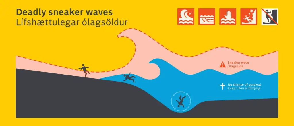 iceland black sand beach snearker waves