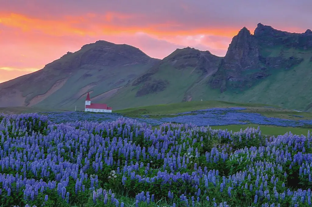 plan your trip around Iceland vik town