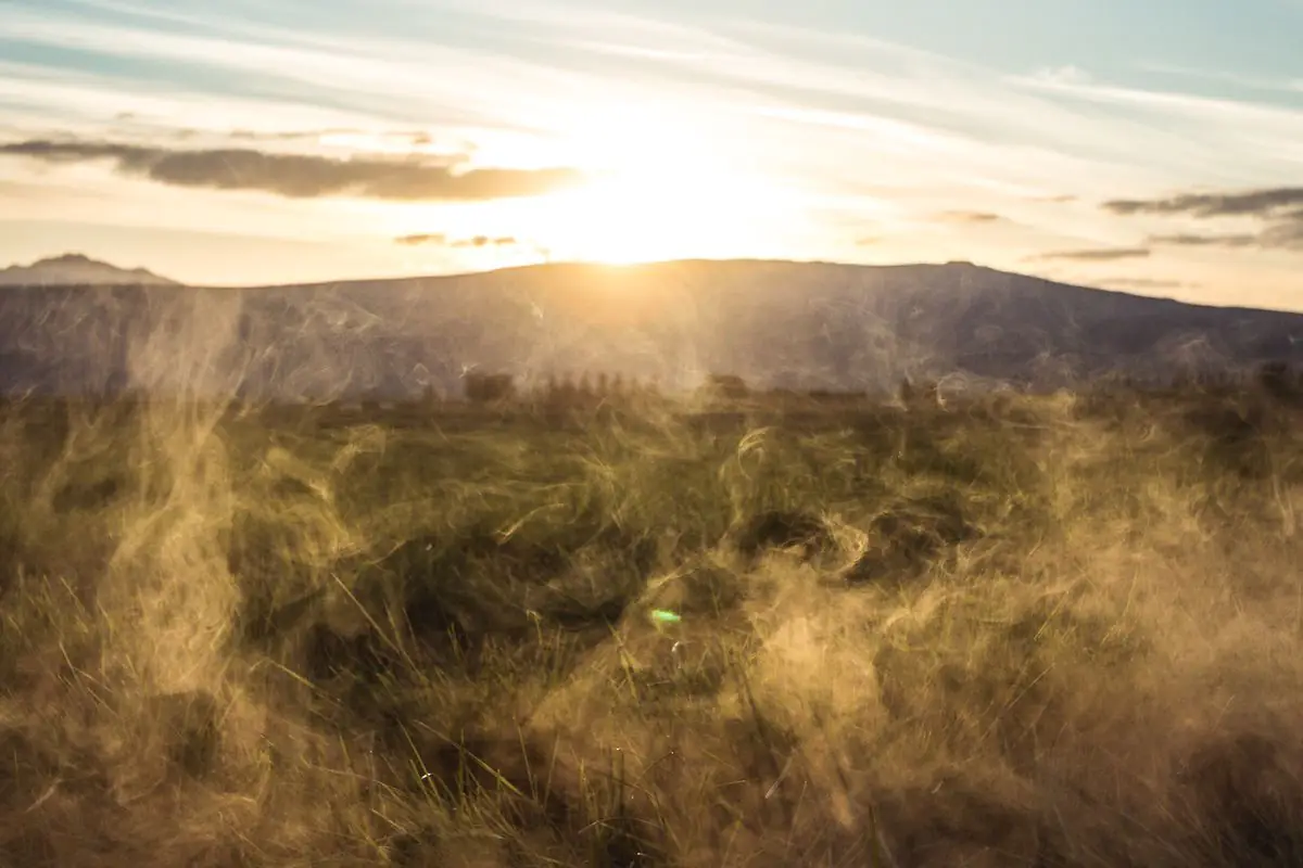 Sunrise over the Icelandic countryside
