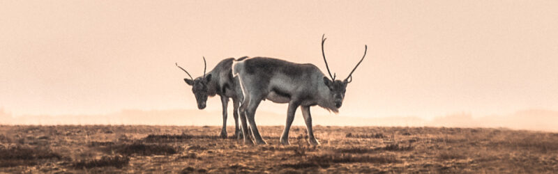 Header background image