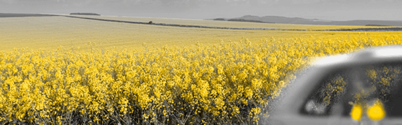 Header background image