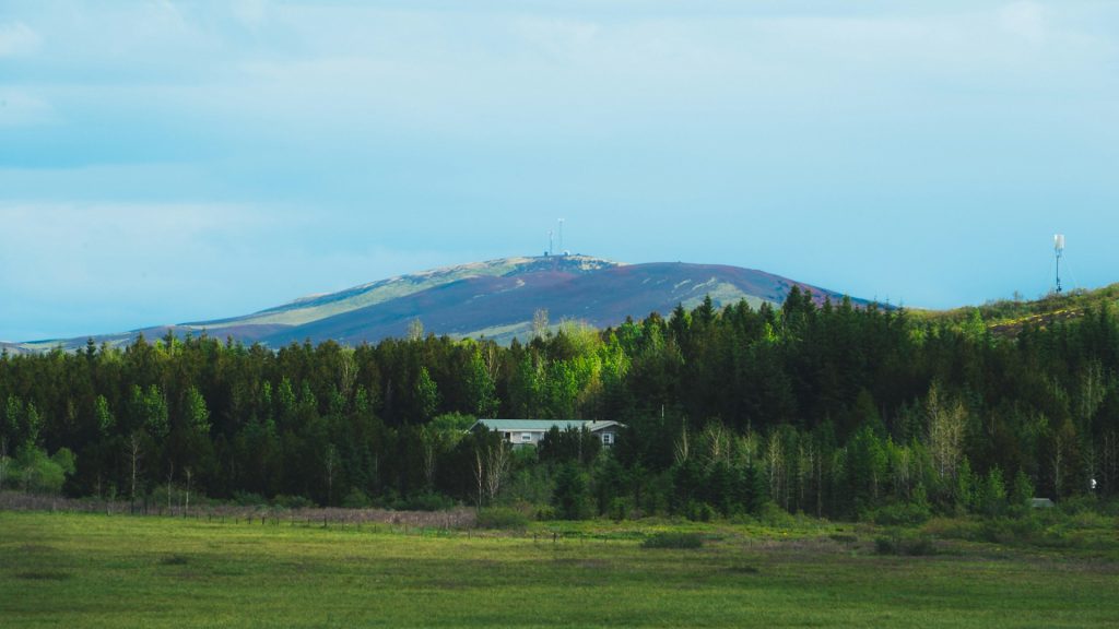 冰島東部Hallormsstaðaskógur森林